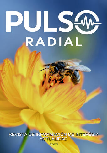 EDICIÓN 04 OCT