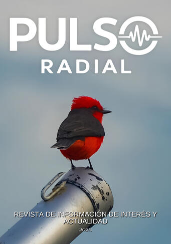 EDICIÓN 11 OCT